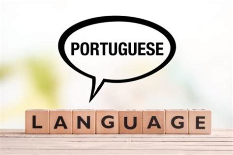 übersetzung portugiesisch deutsch